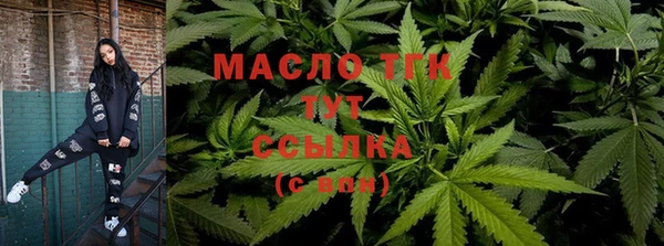 дмт Алексин