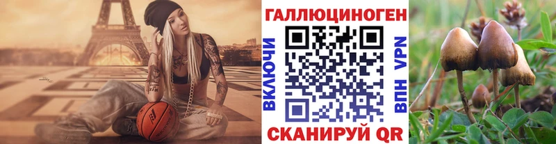 Галлюциногенные грибы Magic Shrooms  darknet телеграм  Ардатов 